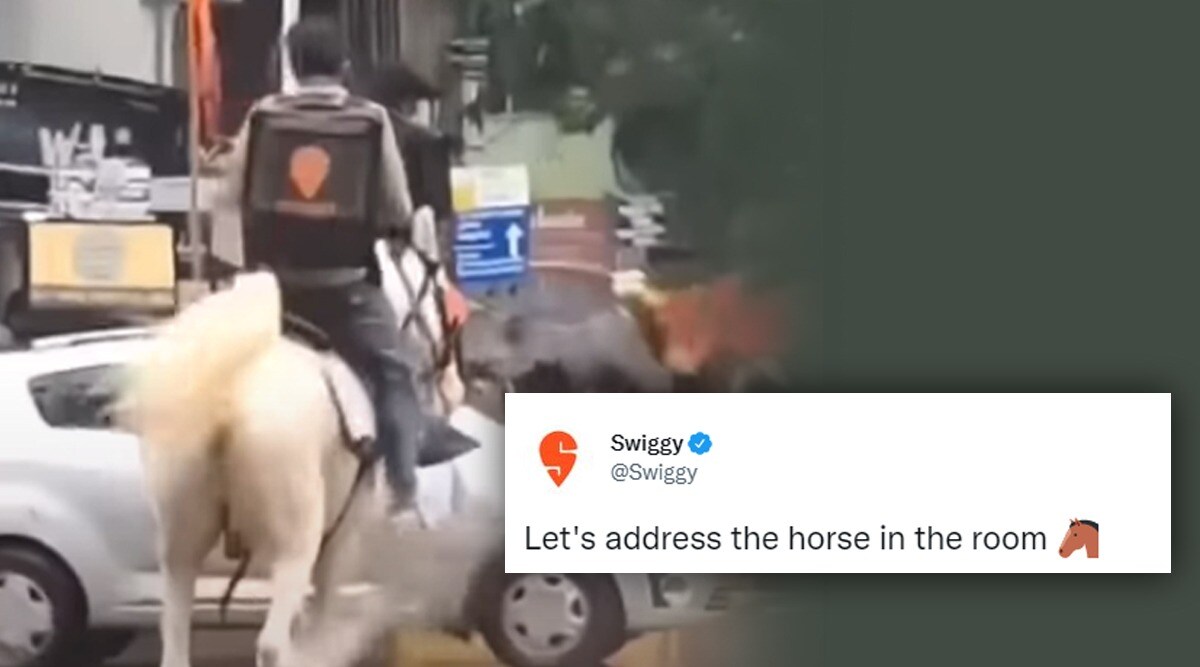 Horse Finder will Rewarded by Swiggy