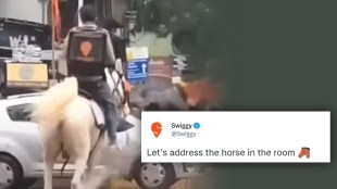 Horse Finder will Rewarded by Swiggy