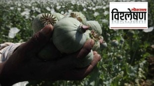 Central government allowed private companies to produce opium