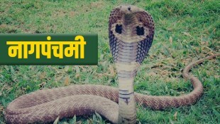 Nag Panchami 2022