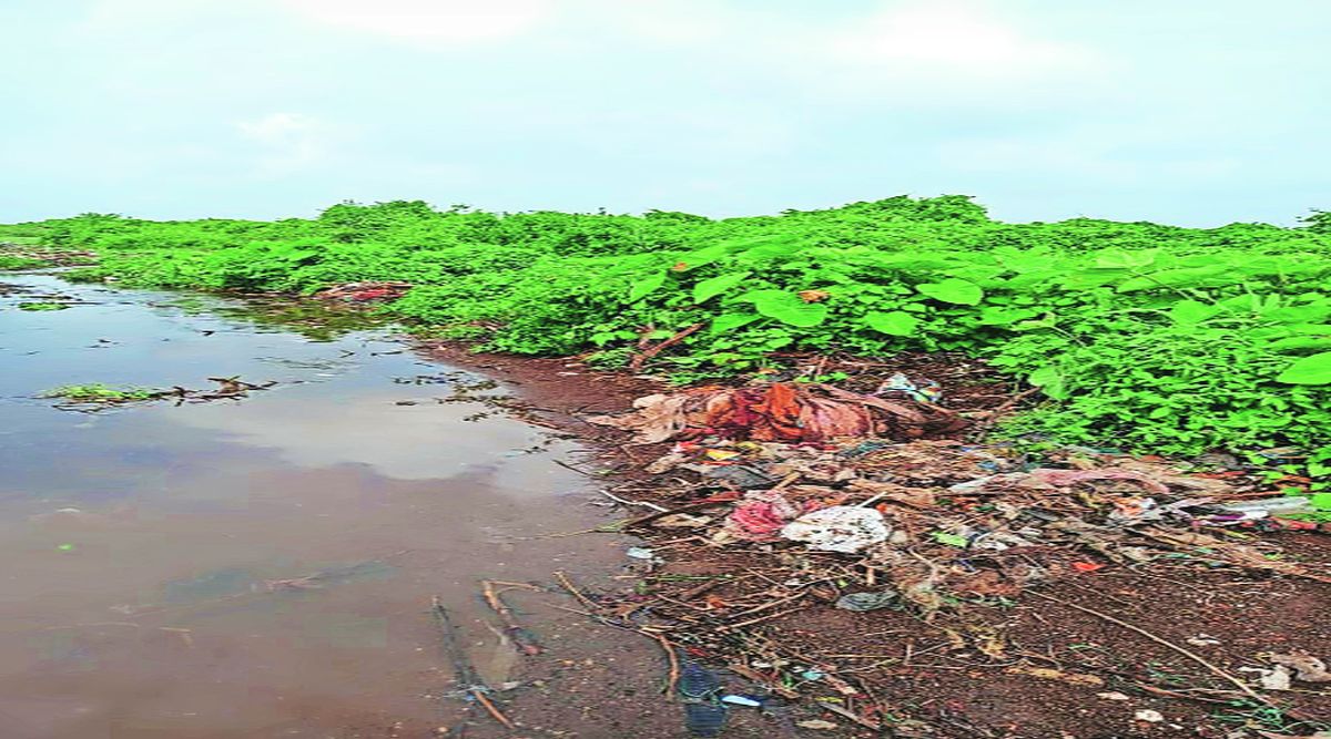 नकार प्लास्टिक पिशव्यांना! | Refuse plastic bags Hashivare village in Raigad district amy 95