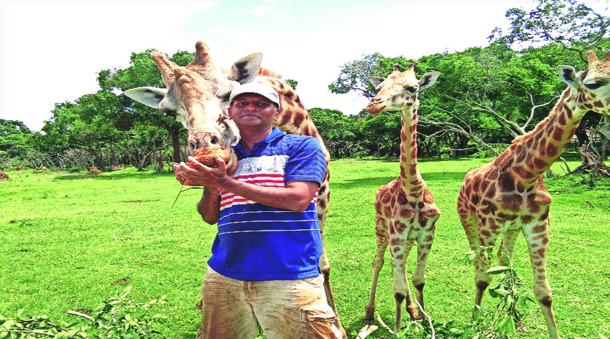 सोयरे सहचर: उंच,डौलदार नि जंगली! | Tall graceful and wild pet Giraffe animal lover Practitioner Tushar Kulkarni amy 95