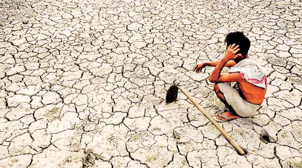 drought hit farmer