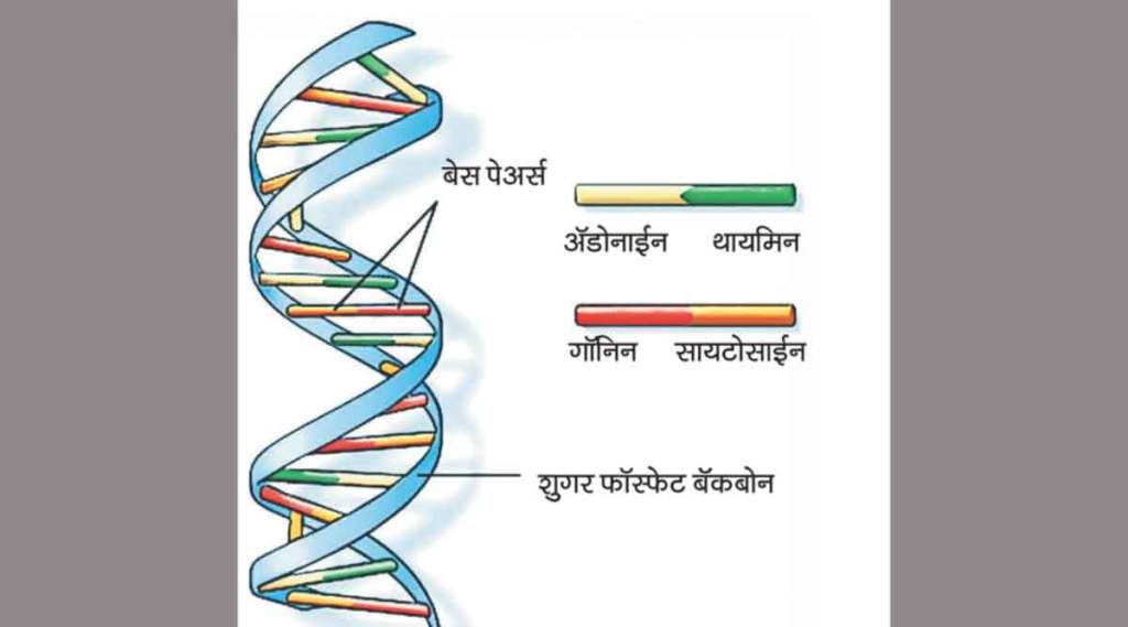 (संग्रहित छायाचित्र)