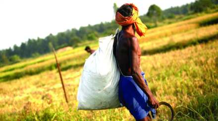 maha farmer