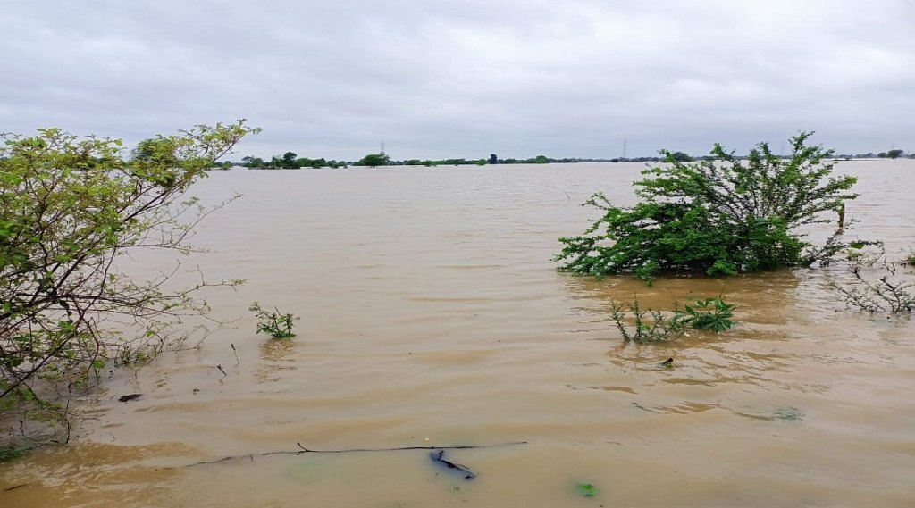 Maharashtra Rain 28 district affected Due To Flood In State