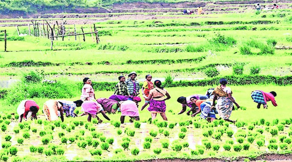 ( प्रतिनिधिक छायाचित्र )