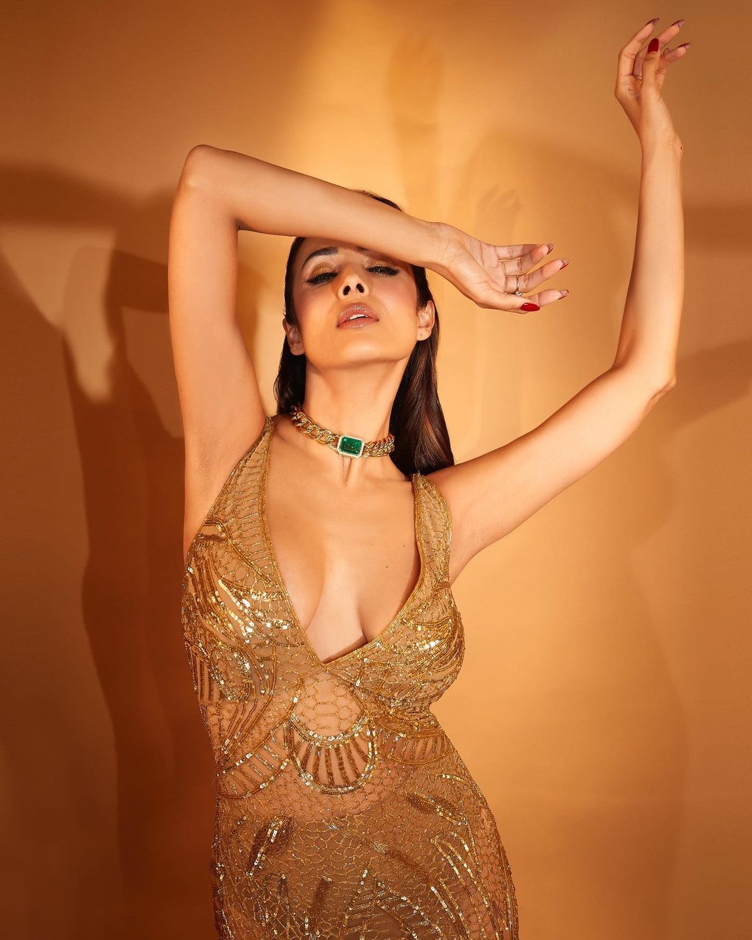 Malaika Arora photo Malaika Arora Transparent dress