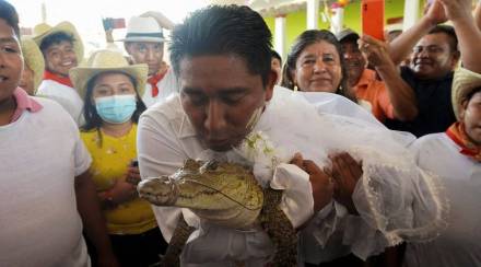 Mexican mayor married a crocodile