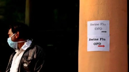 swine flu ward