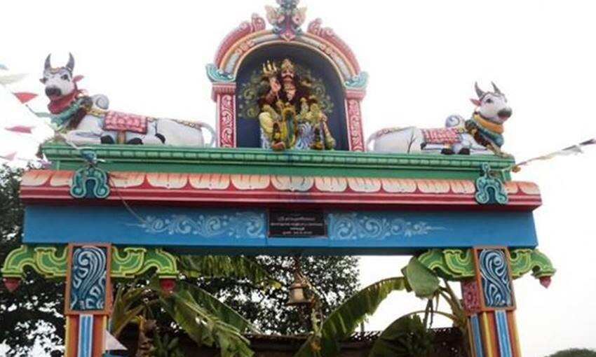 Temples give non-vegetarian food as prasad