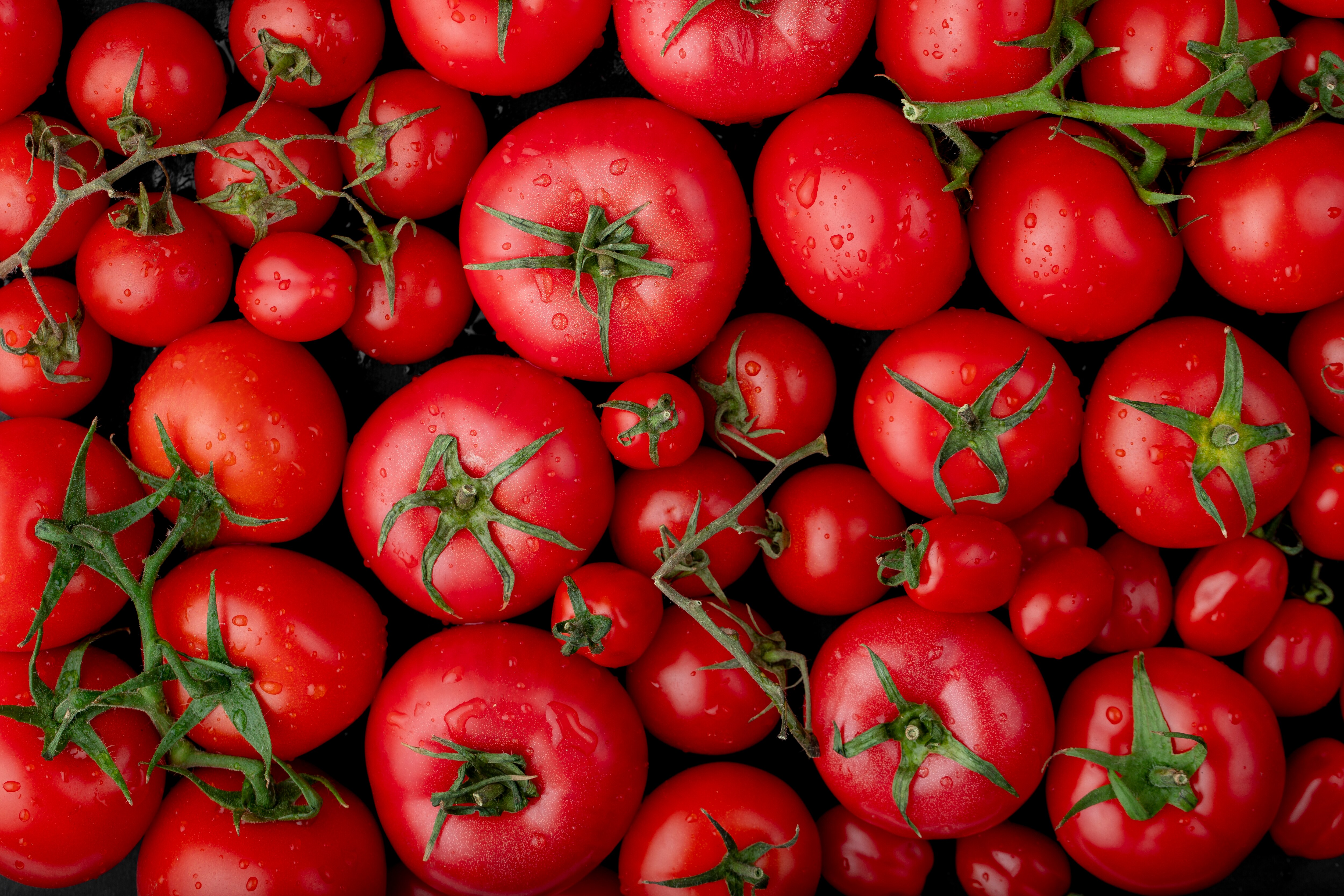 Eating too many Tomatoes Can Damage Your Body