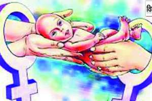 surrogacy law