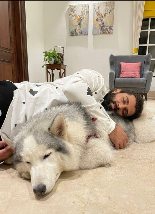 vijay deverakonda