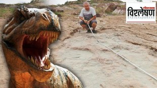 what is the importance of the biggest dinosaur footprint fossil found in