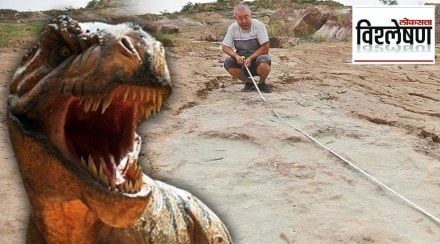 what is the importance of the biggest dinosaur footprint fossil found in