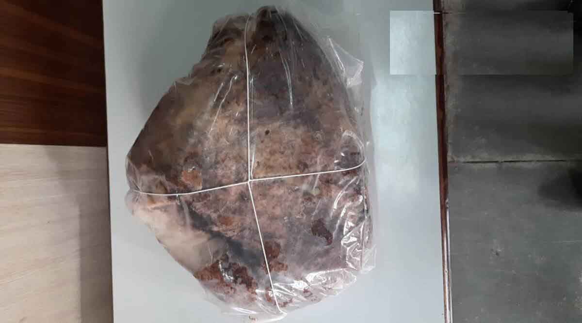 whale vomit