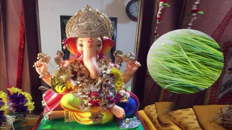 Take special care of these things while offering Durva to ganpati