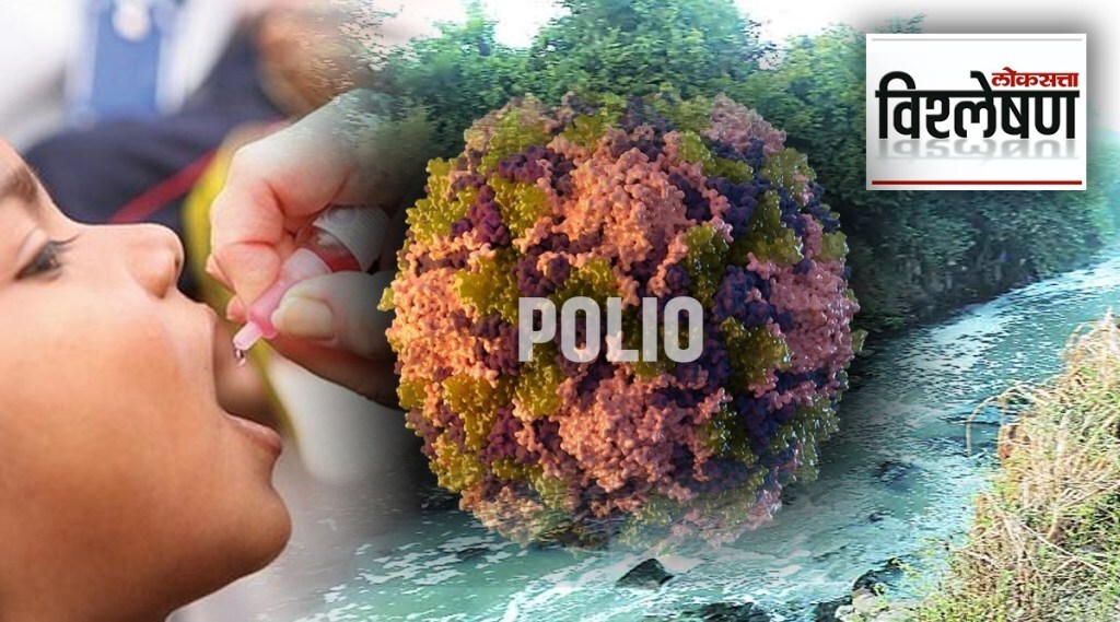 Explained Polio Disease