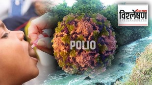 Explained Polio Disease