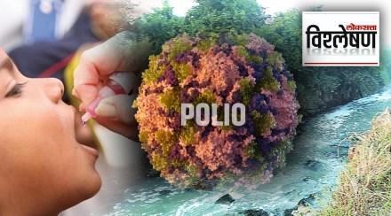 Explained Polio Disease