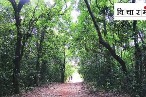 pavari Forest language Sattakaran