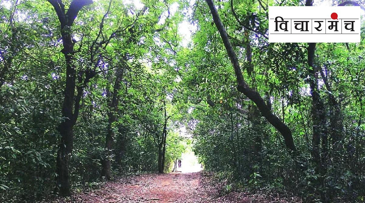 pavari Forest language Sattakaran