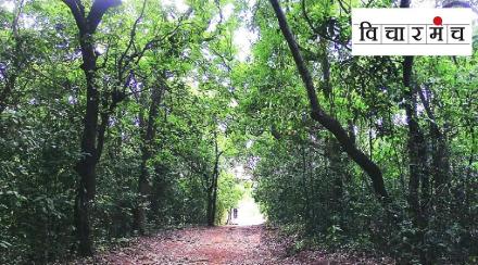 pavari Forest language Sattakaran