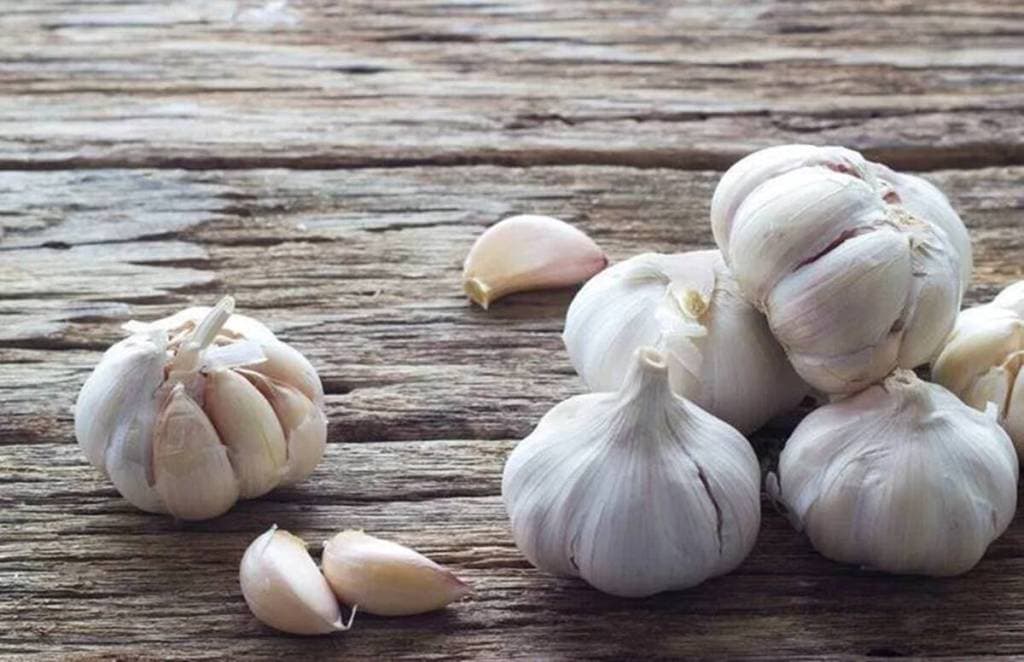 Garlic rate in wholesale market