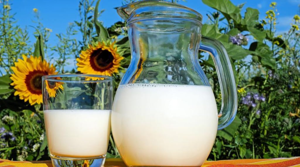 Home Remedies For Low BP: कमी रक्तदाबाच्या समस्येवर दूध ठरेल रामबाण उपाय; सेवन करताना फक्त एवढं करा
