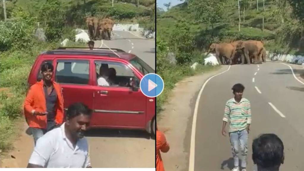 हत्तींसोबत सेल्फी घेण्यासाठी रस्त्यातच गाड्या थांबवल्या, पुढे काय घडतं? पाहा VIRAL VIDEO