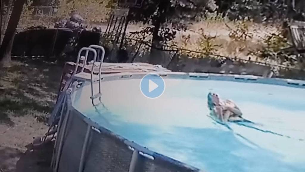 Mother-Saved-Drowning-In-Swimming-Pool