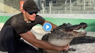 This scary crocodile plays on his lap, listens to everything