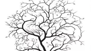 Can you spot the 5 birds hidden in this picture?