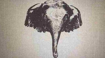 Optical Illusion: Can you find the two animals hidden in the picture?ph