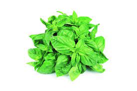 Consuming basil leaves has many health benefits