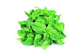 Consuming basil leaves has many health benefits