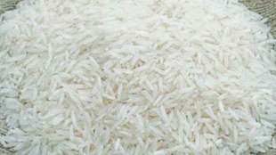 basmati rice