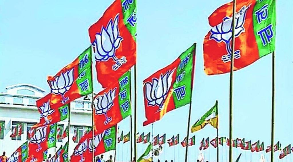 bjp-flag