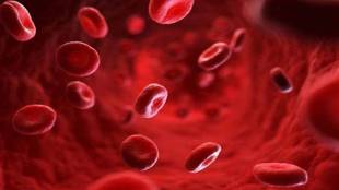 Foods For Platelets