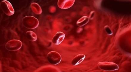 Foods For Platelets