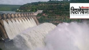dam vishleshan