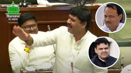 dhananjay munde ajit pawar devendra fadnavis