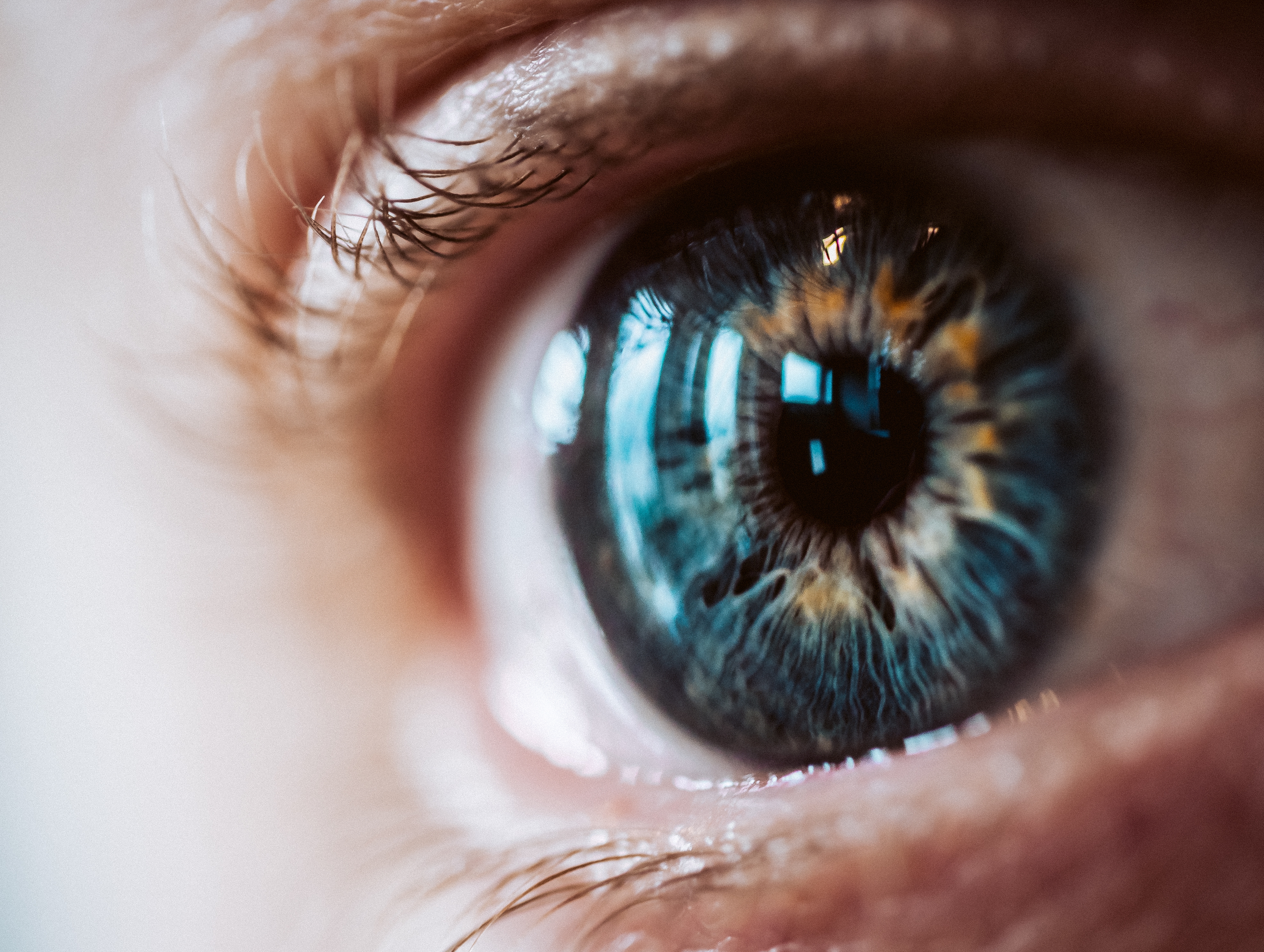 The risk of eye diseases increases after the age of forty