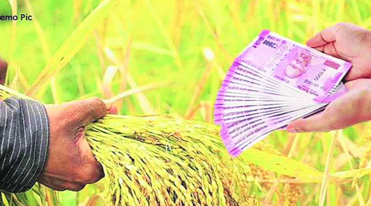 There have been hurdles in accessing crop insurance flood relief