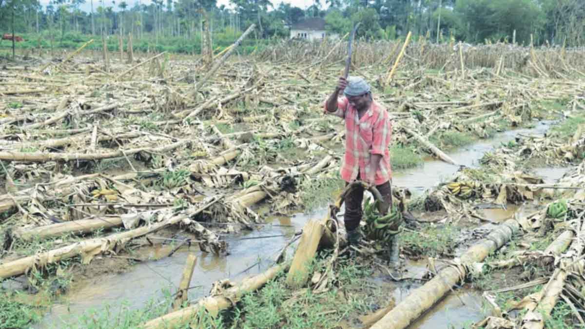 financial aid to farmers hit by floods