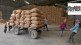 food processing india