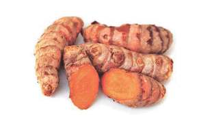 Turmeric export from india