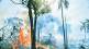 wildfires