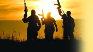 lekh naxalist 1